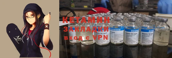 индика Новозыбков
